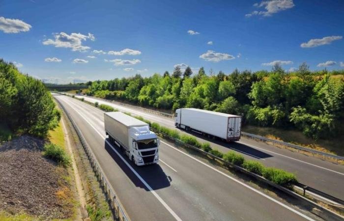 20 مليار درهم قيمة سوق الشحن البري في الإمارات 2030