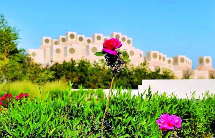 أخبار قطر | جامعة قطر تعلن تفاصيل النسخة الثالثة عشرة من القرية الثقافية | عيون الجزيرة قطر