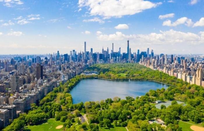 نيويورك تطالب إدارة ترامب برد 13.5 مليار دولار