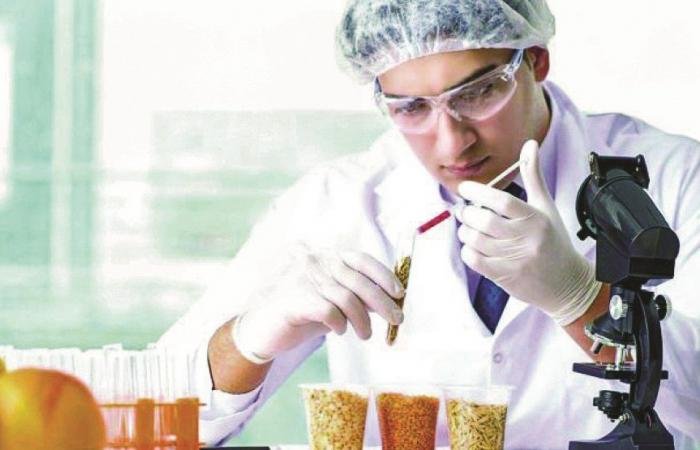 أخبار قطر | الصحة: 12 جهة مؤهلة معتمدة لتفتيش الأغذية والمنشآت الغذائية | عيون الجزيرة قطر