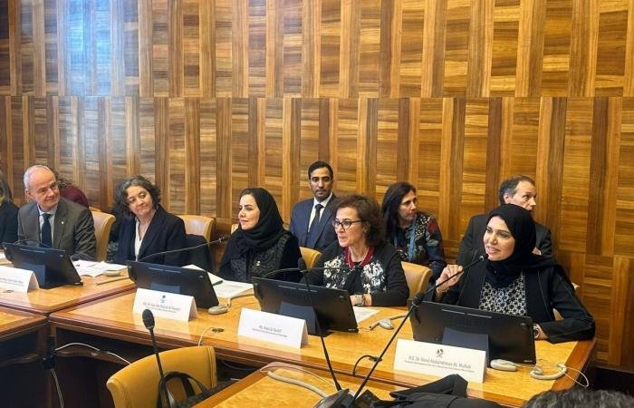 أخبار قطر |  الوفد الدائم لدولة قطر لدى الأمم المتحدة بجنيف ينظم حدثا رفيع المستوى حول "الوساطة وحقوق الإنسان" | عيون الجزيرة قطر