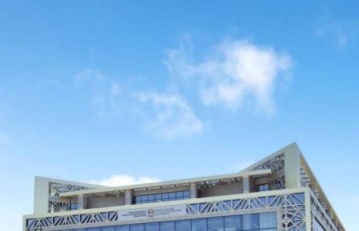 الامارات الان | إغلاق 12 مكتباً تمارس نشاط العمالة المساعدة دون تراخيص | عيون الجزيرة الامارات