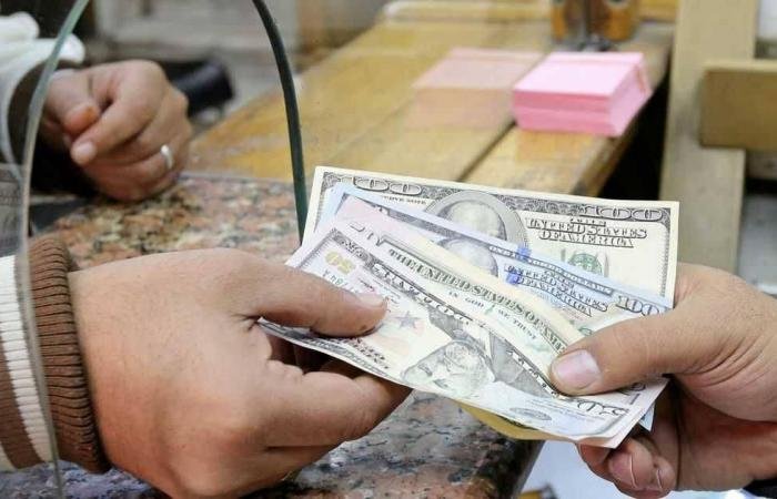 شركة لإدارة أموال المصريين بالخارج.. تفاصيل مشروع قانون جديد أمام البرلمان
