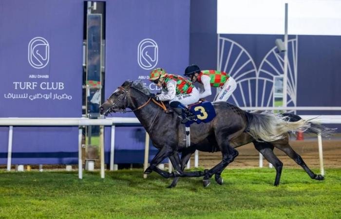 الرياضة الان | 7 سباقات في الحفل الـ 12 بمضمار أبوظبي | عيون الجزيرة الرياضي