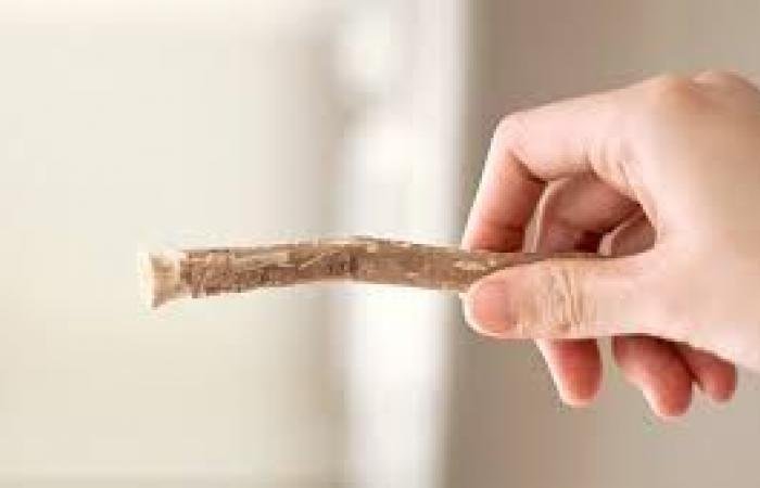 أخبار قطر | أسئلة رمضانية.. ما حكم استخدام معجون الأسنان أو السواك للصائم؟ | عيون الجزيرة قطر