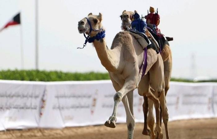 الرياضة الان | «طرفاشة» و«شاهين» تتألقان بمنافسات الحقايق | عيون الجزيرة الرياضي