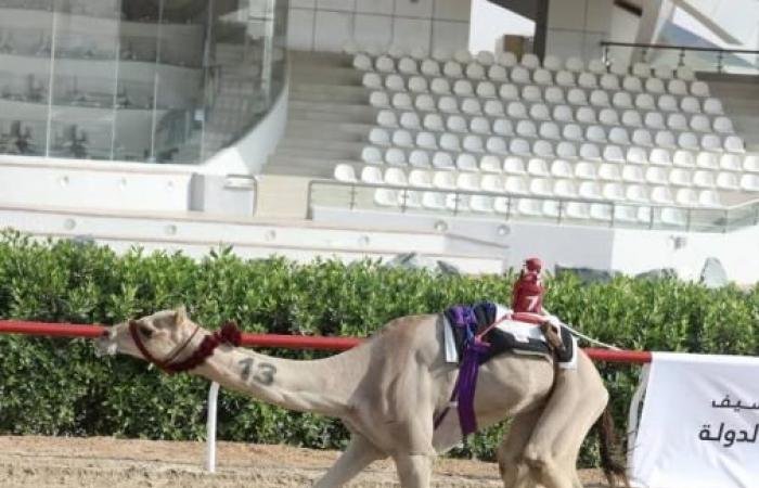الرياضة الان | «أرصاد»و«الدرع» تحصدان ناموس الأبكار والجعدان في المهرجان الختامي بالوثبة | عيون الجزيرة الرياضي