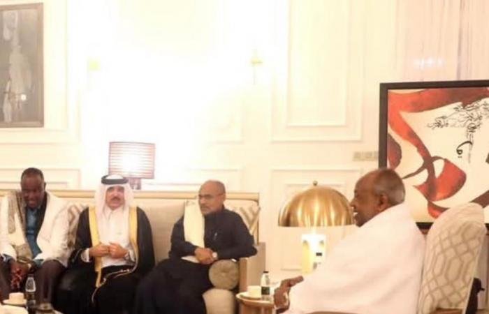 أخبار قطر | سفير قطر يشارك في لقاء رئيس جيبوتي مع سفراء الدول العربية والإسلامية | عيون الجزيرة قطر