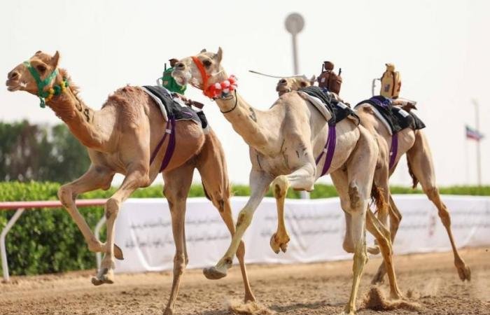 الرياضة الان | «منحاف» تحلق بالكأس و«كفو» يحصد بندقية الحقايق | عيون الجزيرة الرياضي