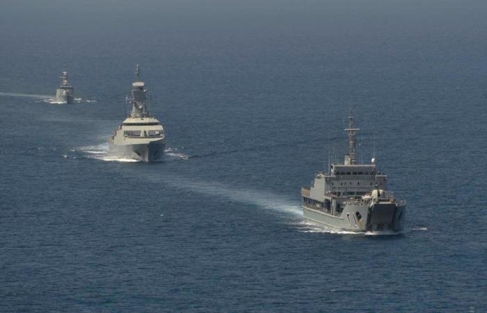 «البحرية» العمانية تنقذ طاقم سفينة مكونا من 24 شخصاً بعد تعرضه لقصف قرب مضيق هرمز | عيون الجزيرة