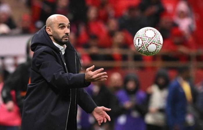 الرياضة الان | ليكيب: وليد الركراكي يغادر تدريب المنتخب المغربي | عيون الجزيرة الرياضي