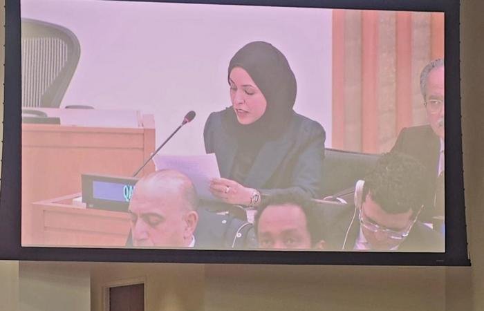 أخبار قطر | مندوب قطر بالأمم المتحدة تشارك في الاجتماع الطارئ لمجموعة منظمة التعاون الإسلامي على مستوى السفراء | عيون الجزيرة قطر