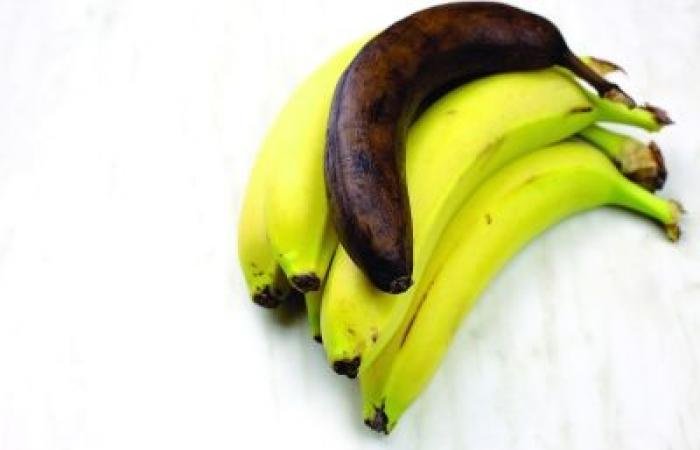 أخبار سلطنة عمان | دراسة: الزيوت الطبيعية تسهم في إبطاء تلف الموز وإطالة عمره التخزيني | عيون الجزيرة الاخبارية عمان