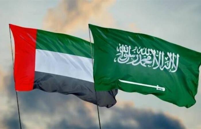 اتصال سعودي إماراتي لبحث الاعتداءات الأخيرة وتطورات المنطقة