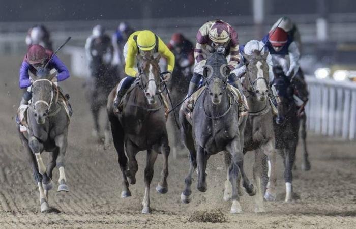 الرياضة الان | 113 خيلاً تتنافس في الأمسية الـ 15 بكرنفال سباقات دبي | عيون الجزيرة الرياضي