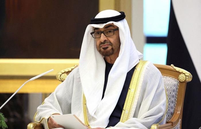 الرئيس الإماراتي: بلدنا بخير وقادر على مواجهة التحديات | عيون الجزيرة