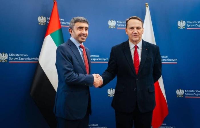 الامارات الان | عبدالله بن زايد ونائب رئيس وزراء بولندا يبحثان تعزيز العلاقات | عيون الجزيرة الامارات