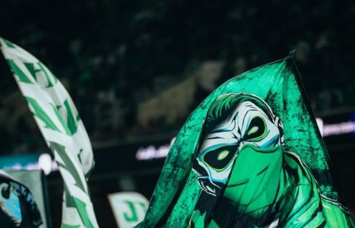 النخبوي كبير جدة