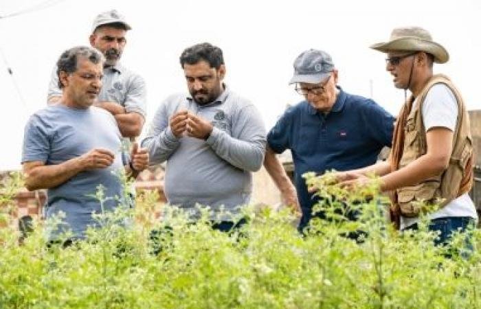 أخبار سلطنة عمان | محافظة ظفار تحصد المركز الأول في جائزة بيئية عربية | عيون الجزيرة الاخبارية عمان