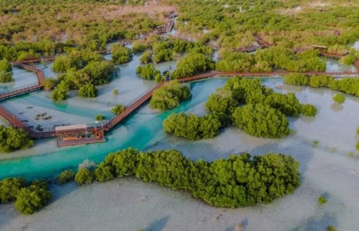 الامارات الان | اتفاقية لدعم أهداف مبادرة القرم | عيون الجزيرة الامارات