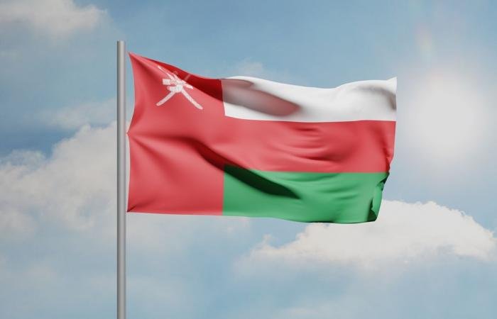 وكالة الأنباء العُمانية: إسقاط طائرة مسيرة وسقوط أخرى في البحر شمال الدقم | عيون الجزيرة