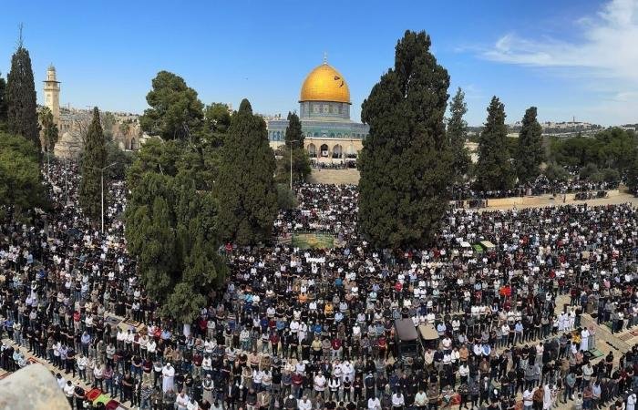 أخبار الكويت | الكويت تُدين انتهاك الاحتلال بإغلاقه أبواب المسجد الأقصى أمام المصلين | عيون الجزيرة الكويت