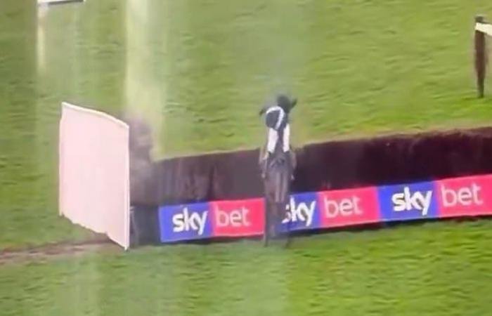 الرياضة الان | معاقبة جوكي أجبر جواده على قفز الحاجز الأخير | عيون الجزيرة الرياضي