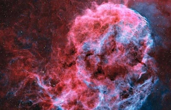 الامارات الان | تصوير «قنديل البحر» في سماء أبوظبي | عيون الجزيرة الامارات