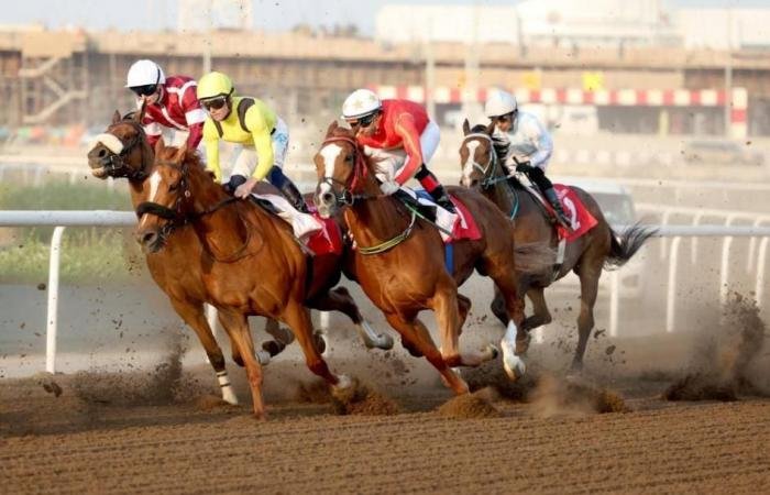 الرياضة الان | 104 خيول تتنافس على 576 ألف درهم في ختام موسم جبل علي | عيون الجزيرة الرياضي
