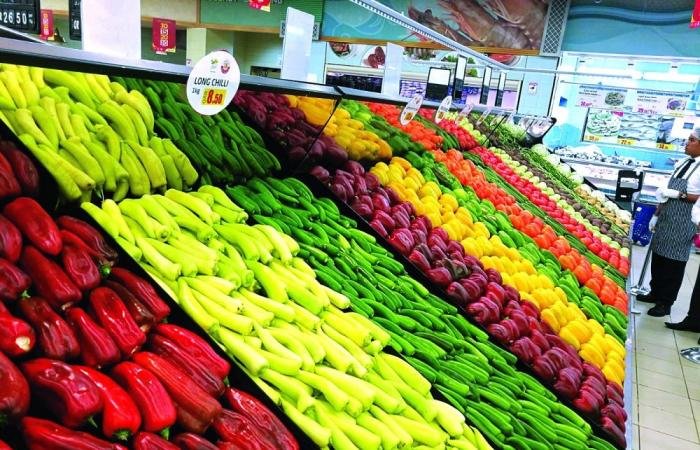 أخبار قطر | الاكتفاء الذاتي من الإنتاج المحلي: 100% خضراوات.. 99% ألبان.. 99% دواجن | عيون الجزيرة قطر