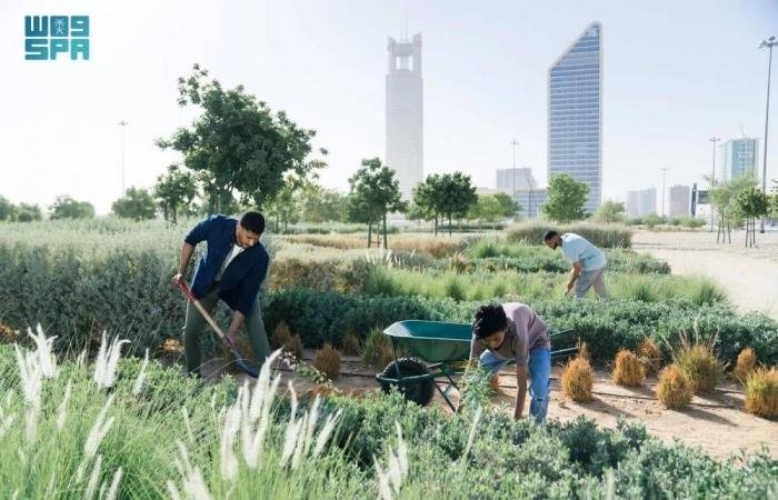 أخبار السعودية | من قلب الصحراء.. وطن يزرع الأمل وأرض تستعيد خضرتها | عيون الجزيرة السعودية الان