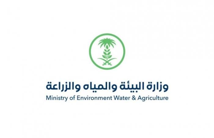 أخبار السعودية | البيئة": 41 محطة رصد تسجل هطول أمطار على 7 مناطق | عيون الجزيرة السعودية الان