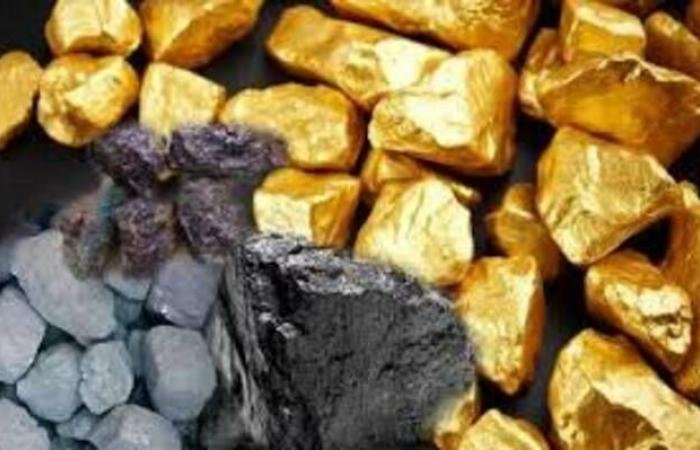 واشنطن تنظم فعالية للمعادن الحيوية في البرازيل وسط توتر دبلوماسي