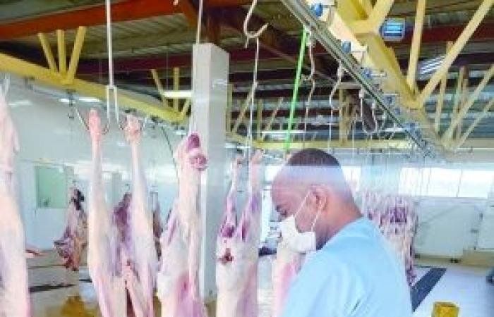 أخبار سلطنة عمان | اكتمال تجهيز المسالخ بمحافظة الظاهرة لاستقبال ذبائح العيد | عيون الجزيرة الاخبارية عمان