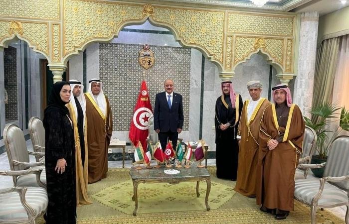 أخبار قطر | سفير قطر يشارك في اجتماع وزير الخارجية التونسي مع سفراء دول مجلس التعاون | عيون الجزيرة قطر