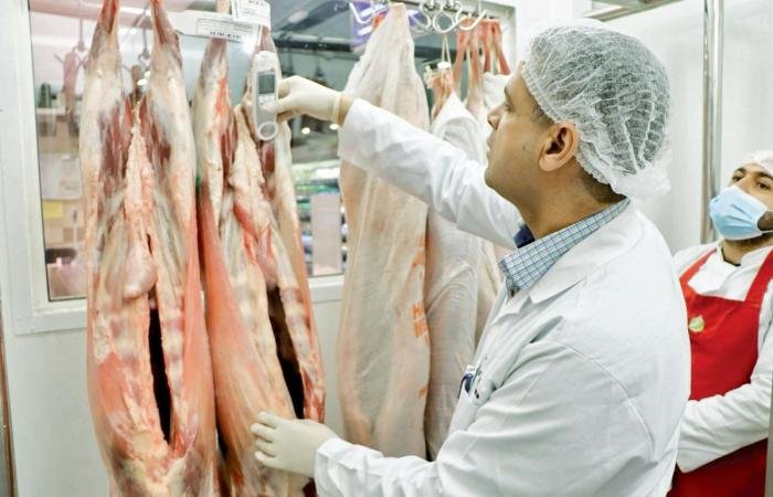 أخبار قطر | المقاصب ترفع طاقتها التشغيلية وتمدد ساعات العمل | عيون الجزيرة قطر