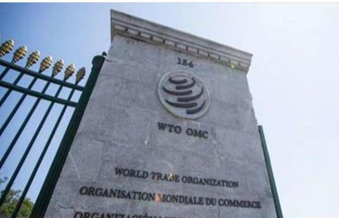 أخبار قطر | منظمة التجارة العالمية تؤكد أن الحرب في الشرق الأوسط تهدّد الأمن الغذائي العالمي | عيون الجزيرة قطر