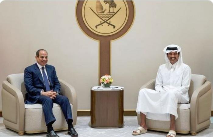 أخبار قطر | سمو الأمير والرئيس المصري يبحثان تطورات الأوضاع الإقليمية | عيون الجزيرة قطر