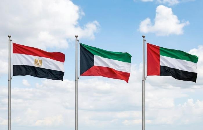 مصر تدين المخططات الإرهابية وتؤكد تضامنها مع الكويت والإمارات | عيون الجزيرة