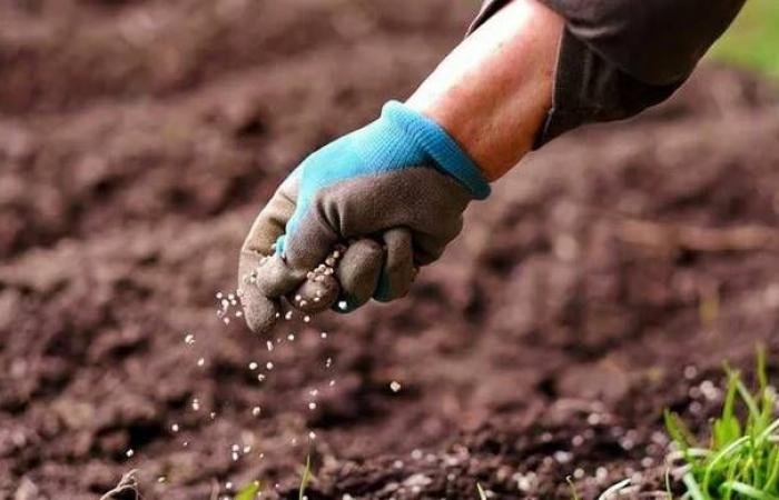 بلومبرج: حرب إيران تعمق أزمة الأسمدة وتهدد الفوسفات عالمياً