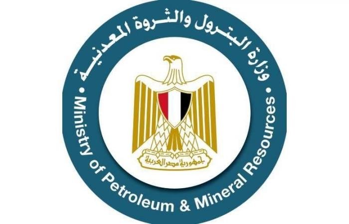 مصر تسدد 4.8 مليار دولار للشركات الأجنبية بقطاع البترول