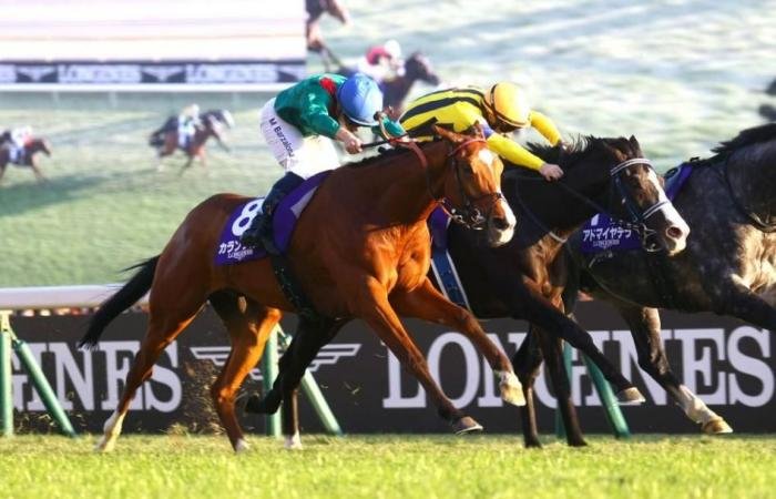 الرياضة الان | «كالانداجان» يتلقى الضوء الأخضر للمشاركة في «شيماء كلاسيك» | عيون الجزيرة الرياضي