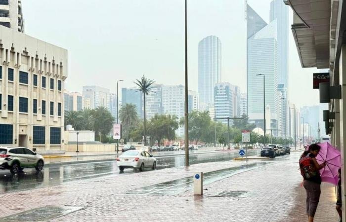 الامارات الان | الإمارات.. طقس غائم جزئياً غداً الثلاثاء مع سقوط أمطار | عيون الجزيرة الامارات