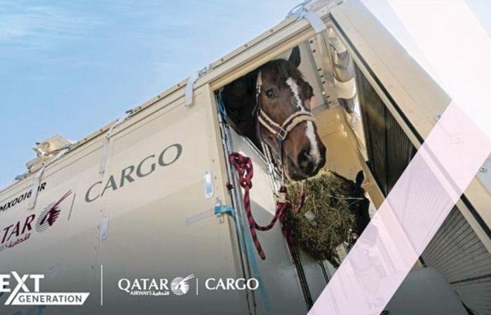 تداول واقتصاد | القطرية للشحن تنقل نخبة من خيول قفز الحواجز | عيون الجزيرة مال واقتصاد