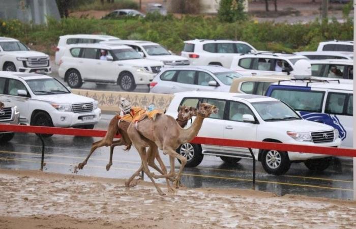 الرياضة الان | «غاغة» تحصد كأس الحقايق المفتوح | عيون الجزيرة الرياضي