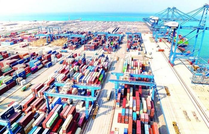 فيتش: «دي بي وورلد» وموانئ أبوظبي قادرتان على امتصاص صدمات «هرمز»