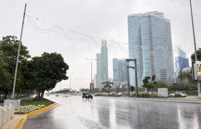 الامارات الان | أبوظبي.. جهود ميدانية لضمان السلامة وإجراءات استباقية خلال هطول الأمطار | عيون الجزيرة الامارات