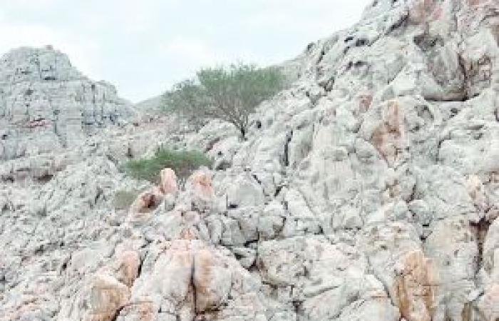 أخبار سلطنة عمان | التعامل مع 43 بلاغا وإنقاذ عدد من المحتجزين | عيون الجزيرة الاخبارية عمان