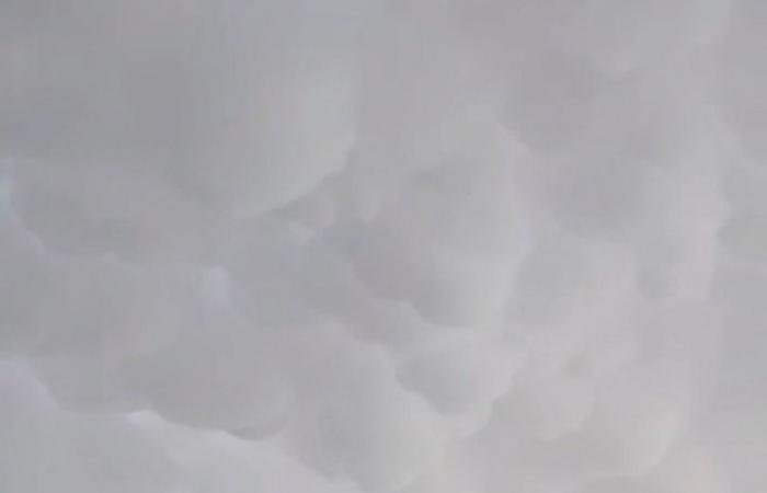 أخبار قطر | بعد ظهورها في سماء قطر.. تعرف على سحب الماماتوس | عيون الجزيرة قطر