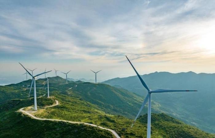 أزمة النفط ‌ترفع الطلب العالمي ​على الطاقة الخضراء